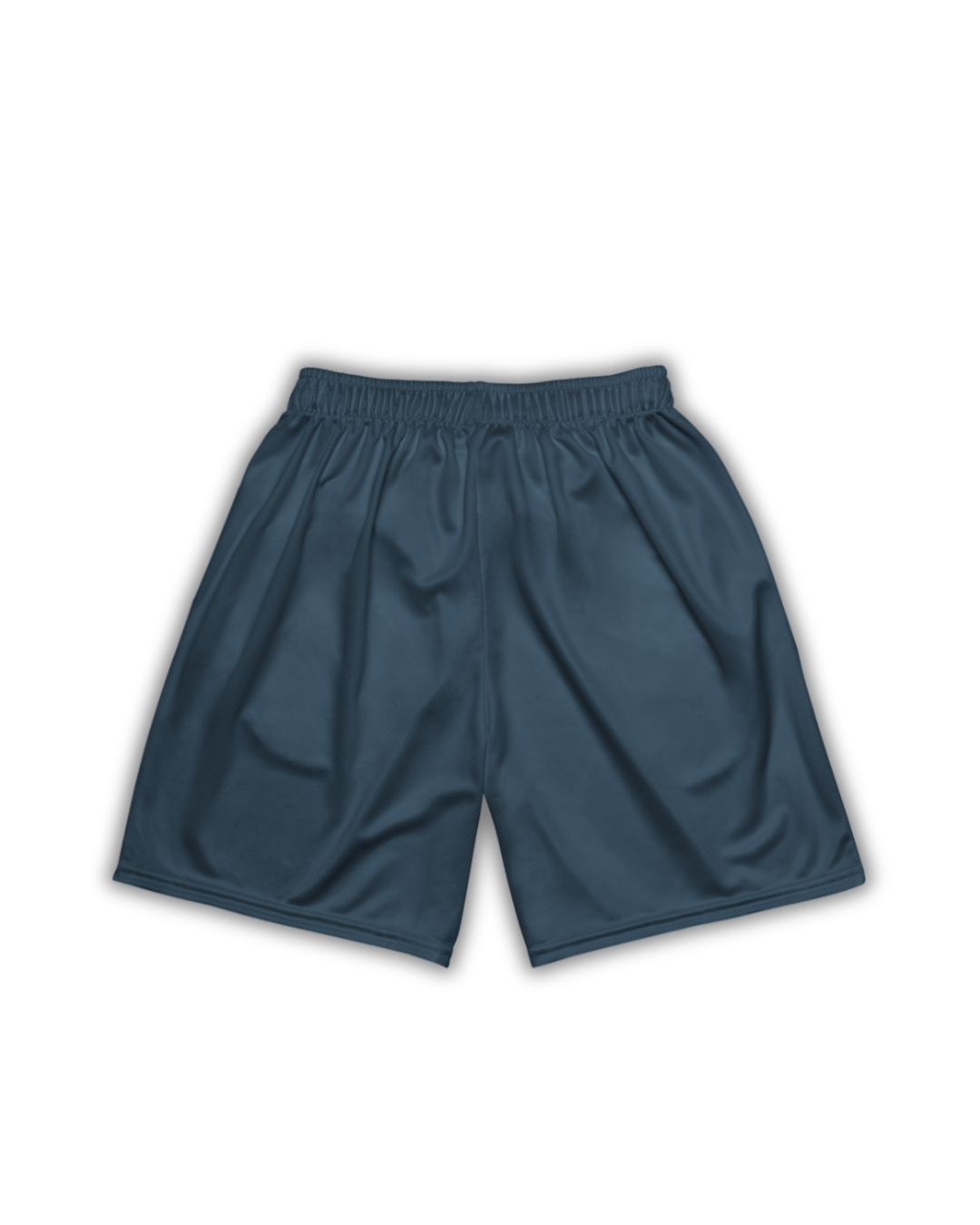 Feathers Club Shorts - Navy/Beige